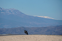 Bike_11